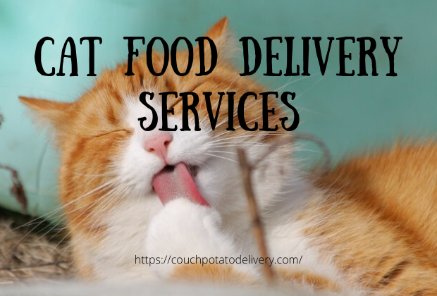 Cat deals food delivery