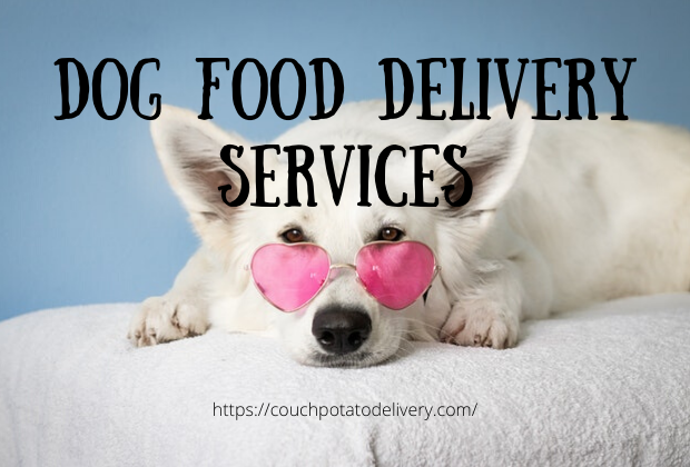 Best dog outlet food delivery service