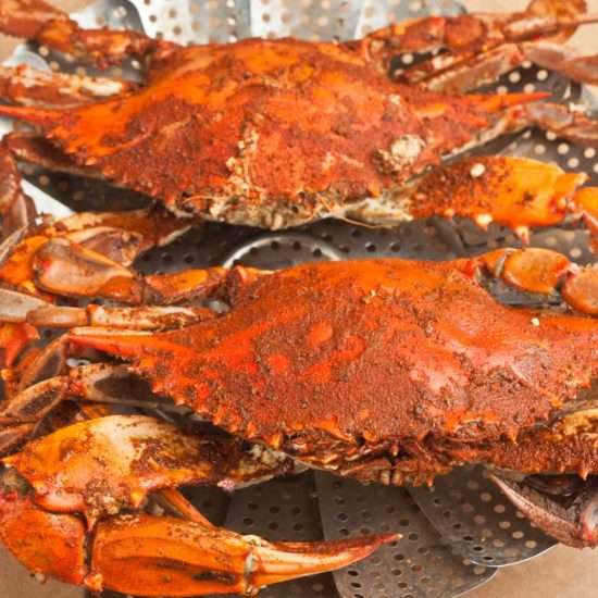 camerons maryland blue crab