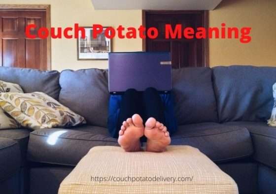 couch-potato-meaning-couch-potato-delivery