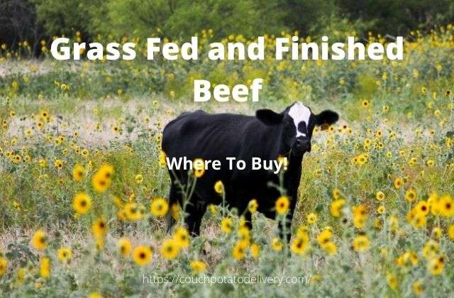 where to buy grass fed beef