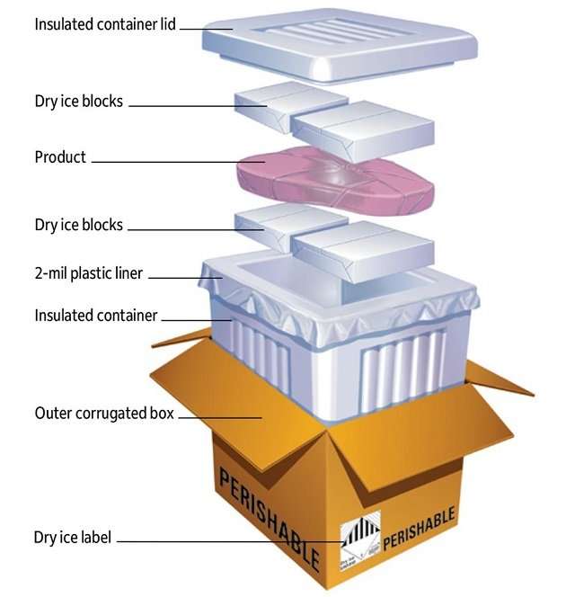 dry ice in box with packed frozen food