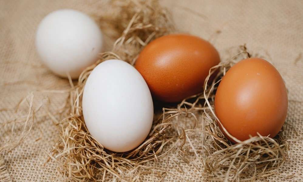 2 white and2  brown eggs on straw